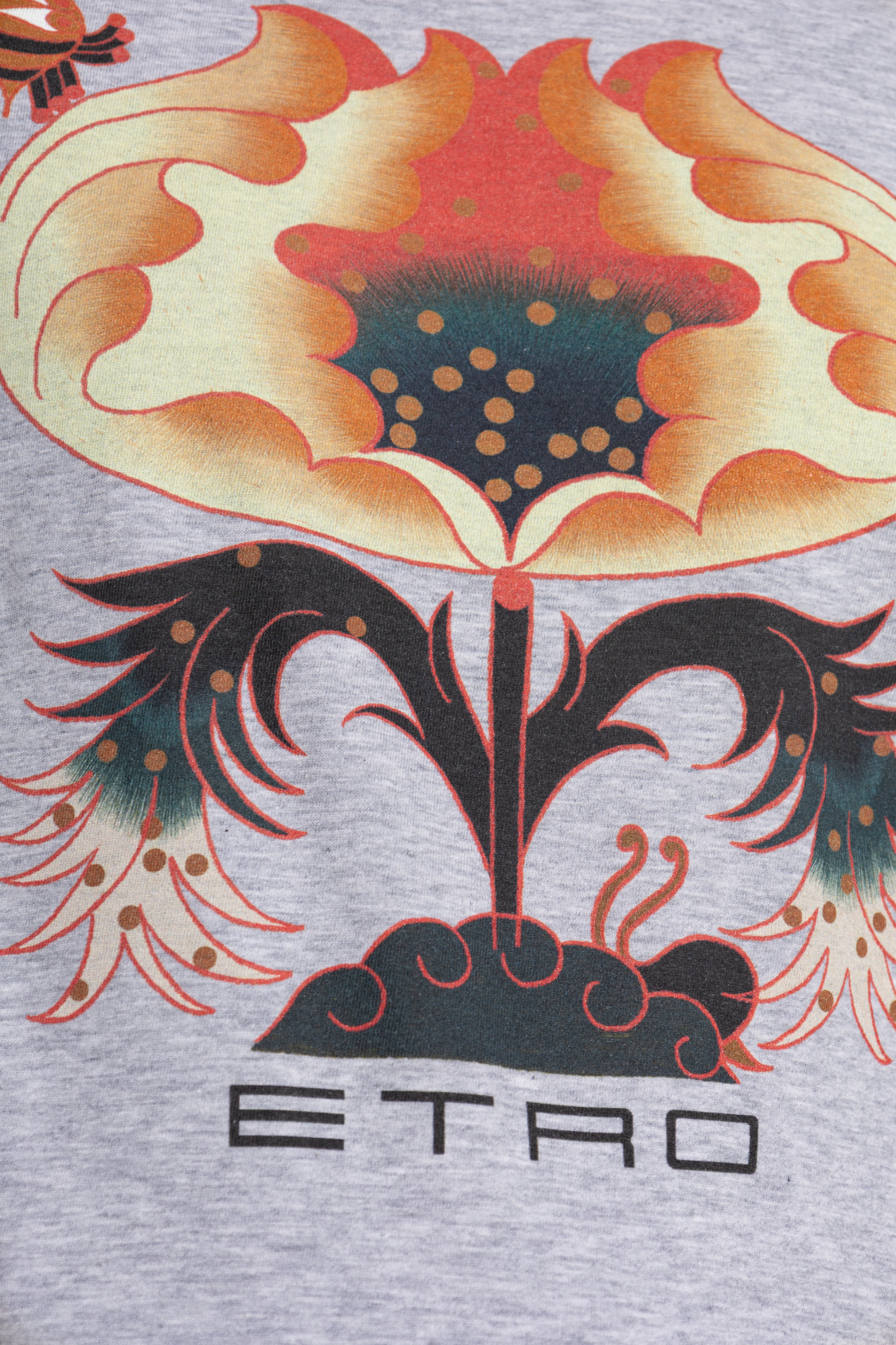 Tシャツ・カットソー ETRO SS25 (WRPA0027 AK757X0892) Etro men's cotton T-shirt with floral print mrma0004aj057